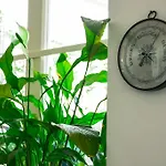 Hotel La Reginella 2*
